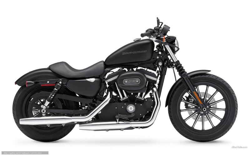 Black Harley-davidson Motorcycle — Neutral, Photograph, Seat