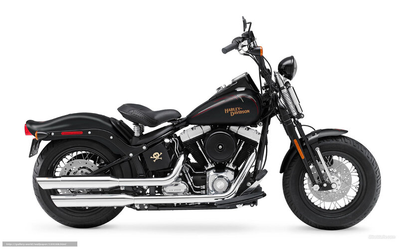 Black Harley-davidson Motorcycle — Neutral, Photograph, Skull Emblem
