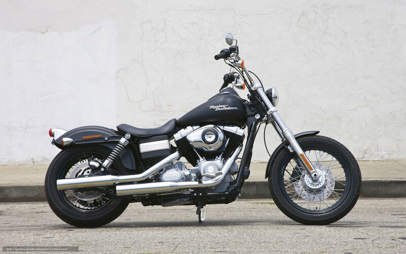 Black Harley-davidson Motorcycle — Neutral, Photograph, Wall