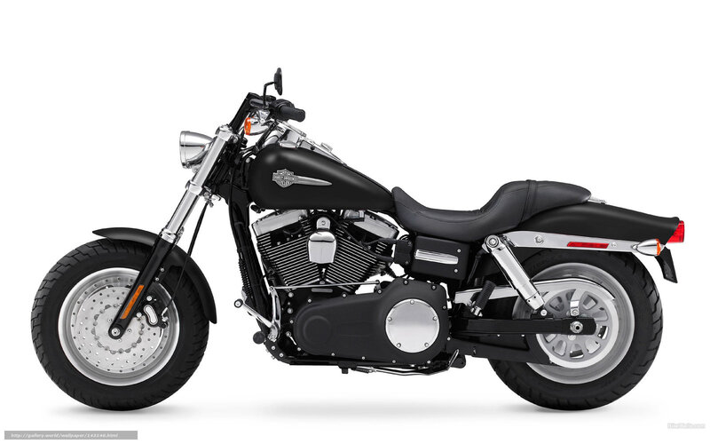Black Harley-davidson Motorcycle — Neutral