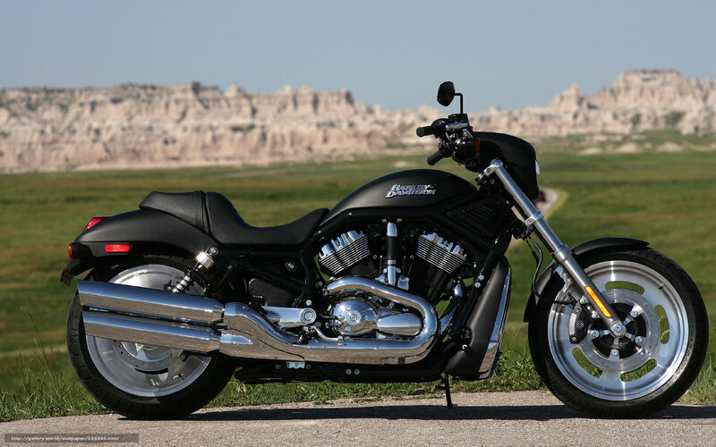 Black Harley-davidson Motorcycle — Serene, Afternoon, Photograph, Grass, Rock Formations, Road