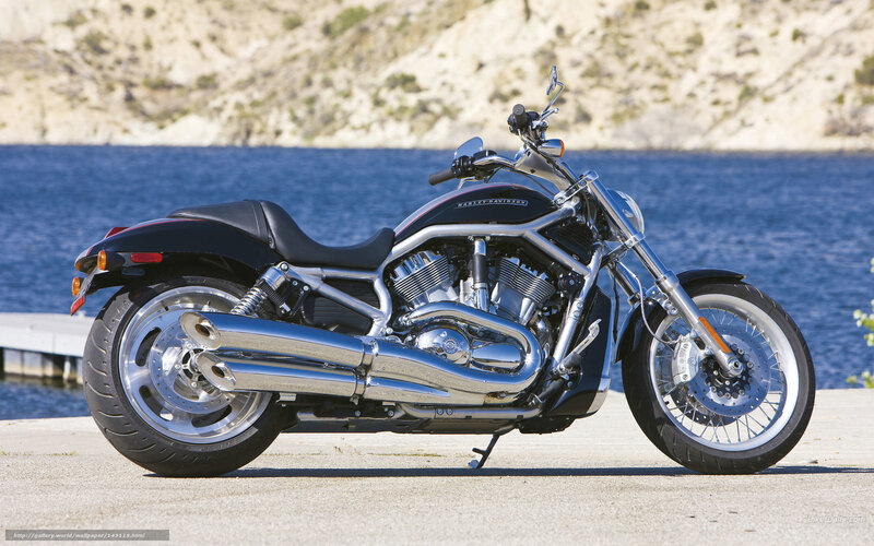 Black Harley-davidson Motorcycle — Serene, Afternoon, Photograph, Lake, Mountain