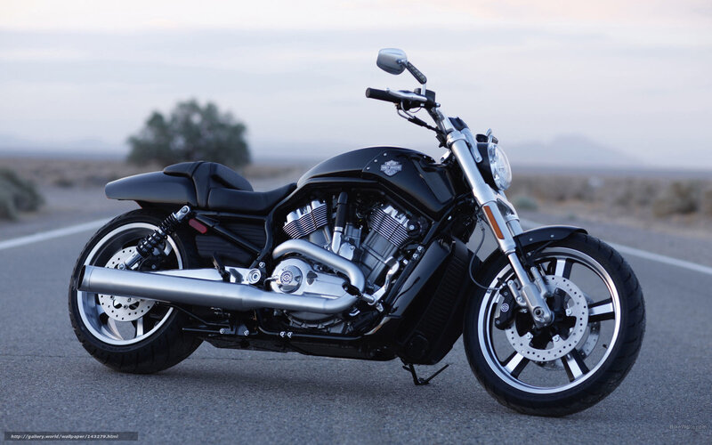 Black Harley-davidson Motorcycle — Serene, Sunset