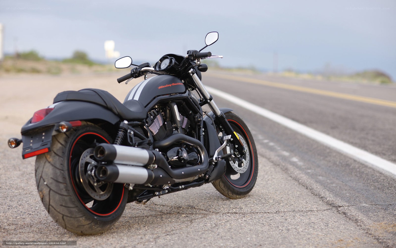 Black Harley-Davidson on road