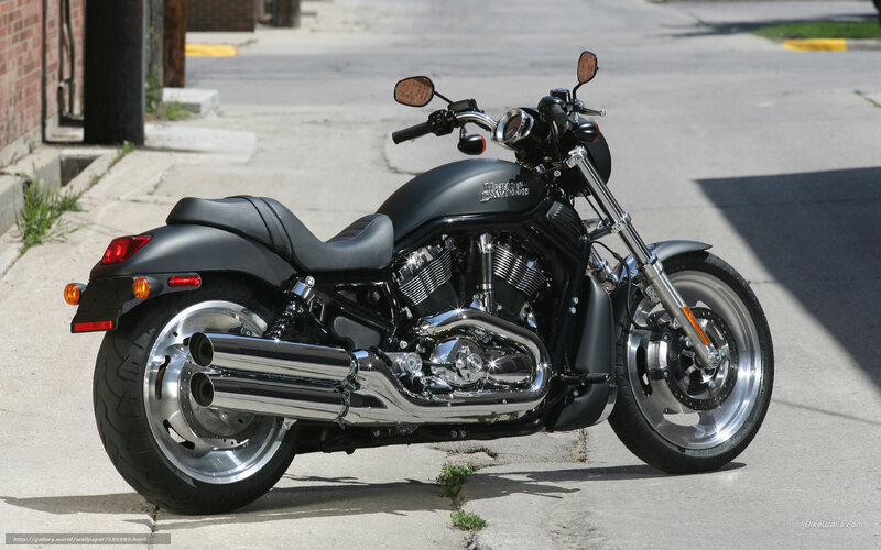 Black Harley-Davidson V-Rod motorcycle