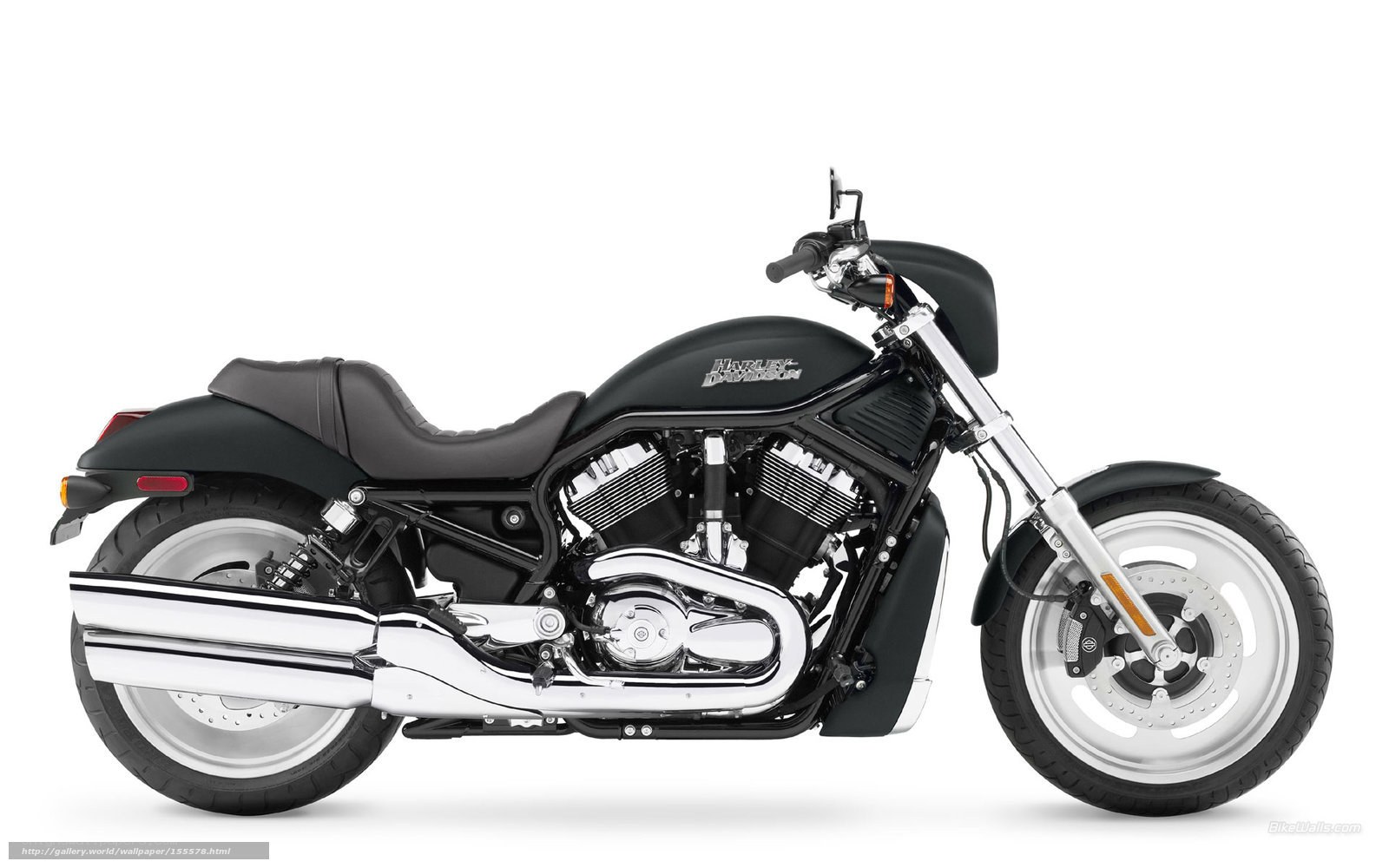 Black Harley-Davidson V-Rod motorcycle