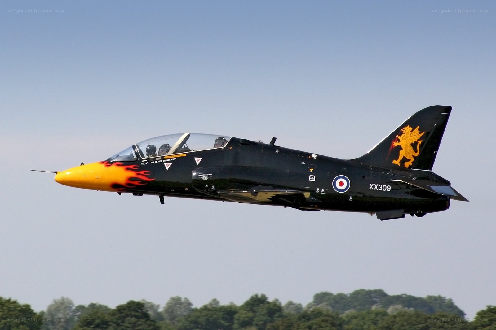 Black Hawk jet in flight