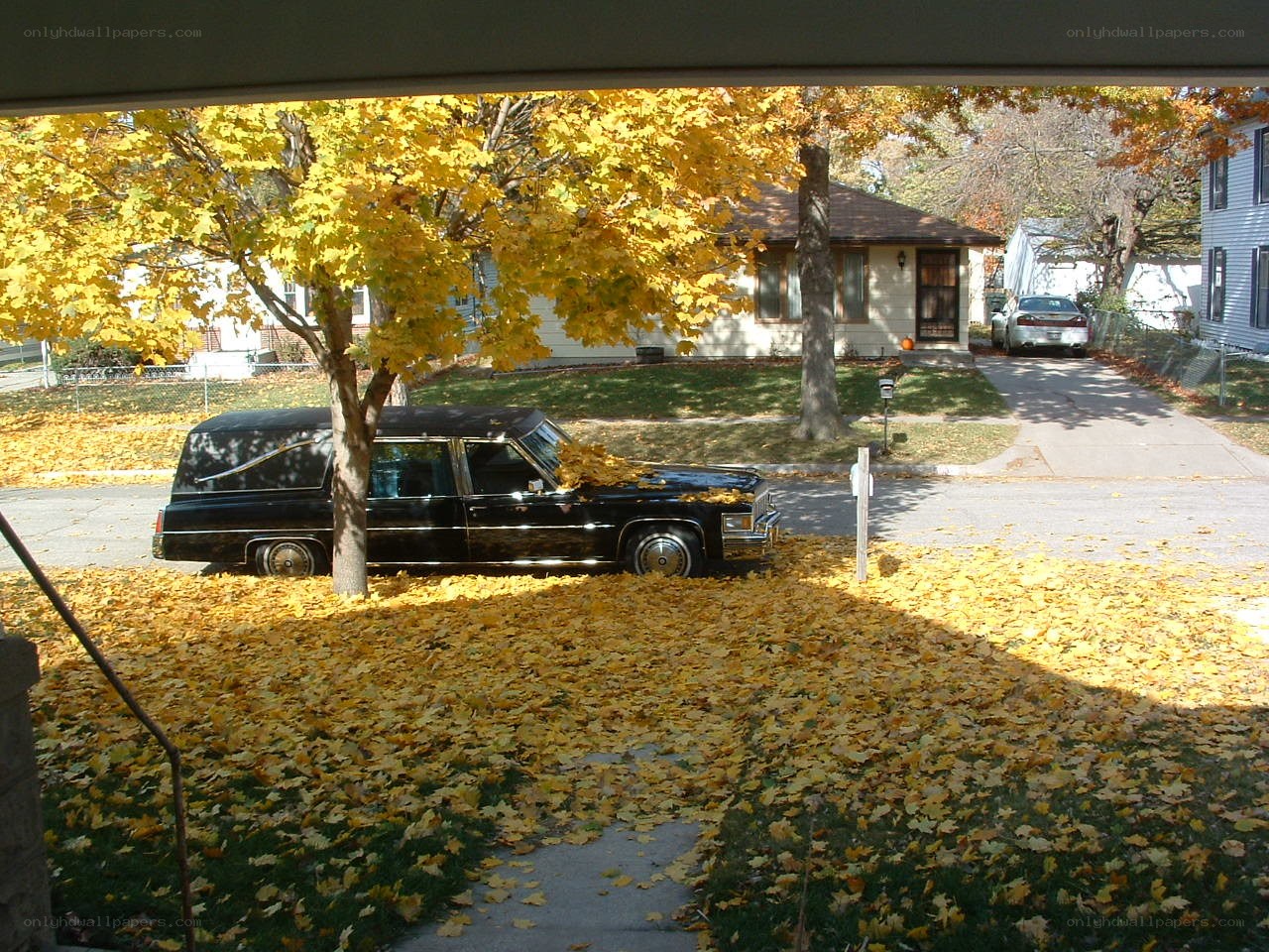 Black hearse on autumn street