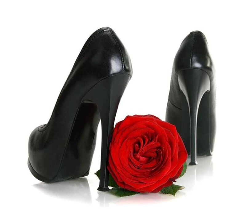Black High Heels and Rose