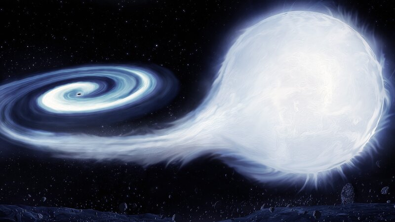 Black hole accretion disk