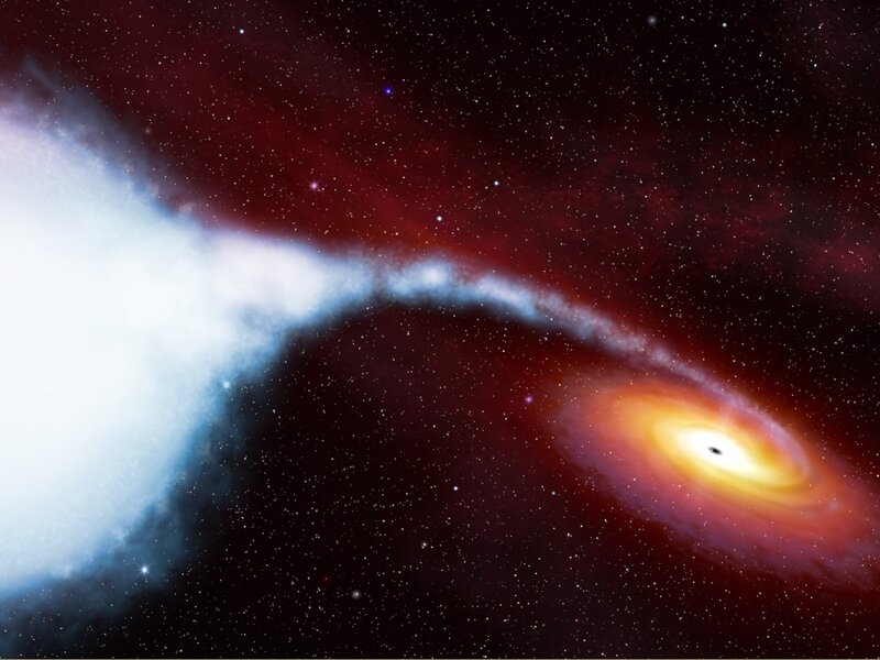 Black hole accretion disk