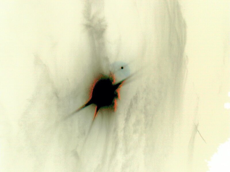 Black Hole in White Surface