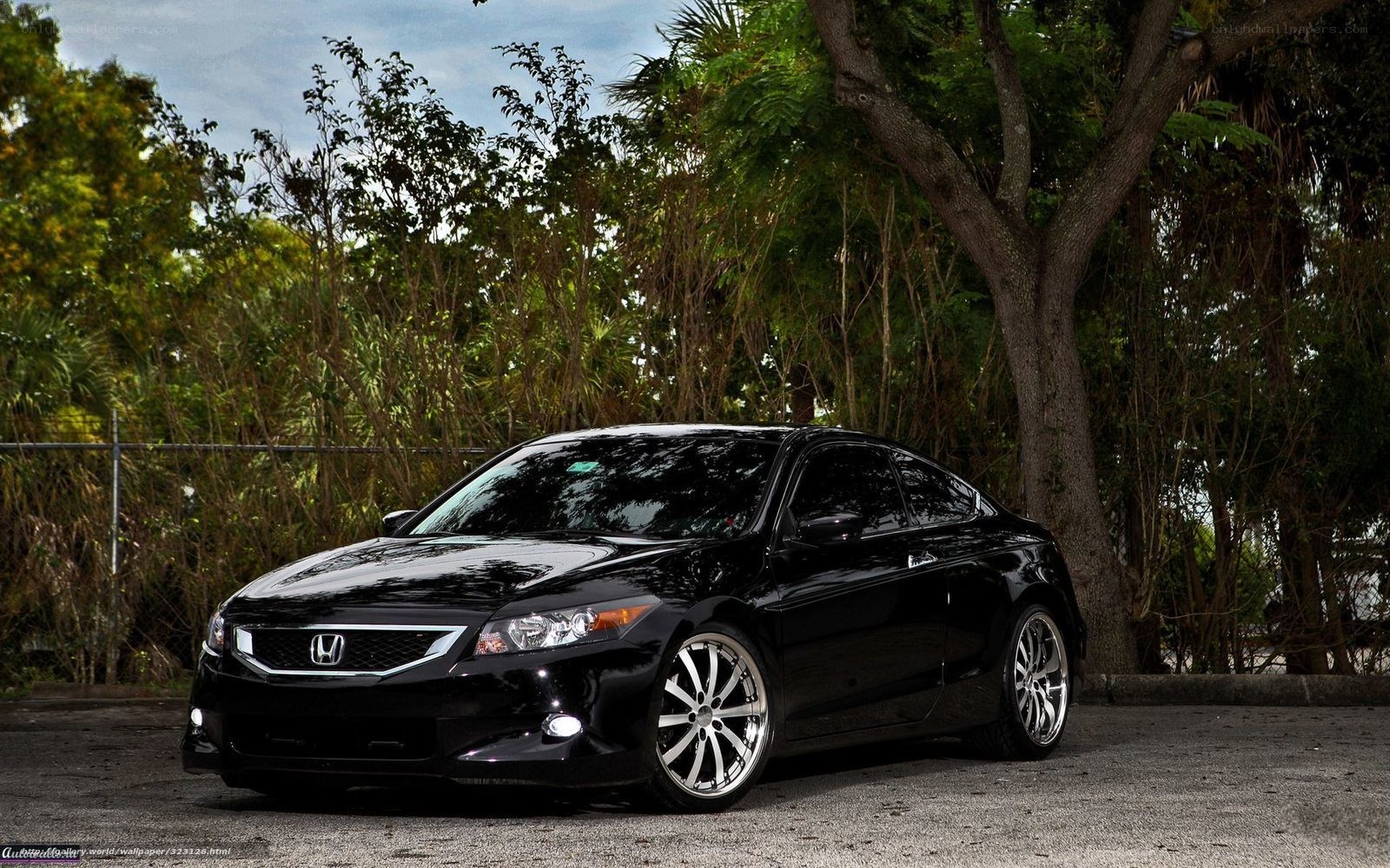 black honda accord coupe