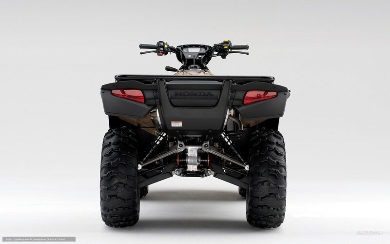 Black Honda ATV — Neutral, Photograph, Handlebars, Taillights