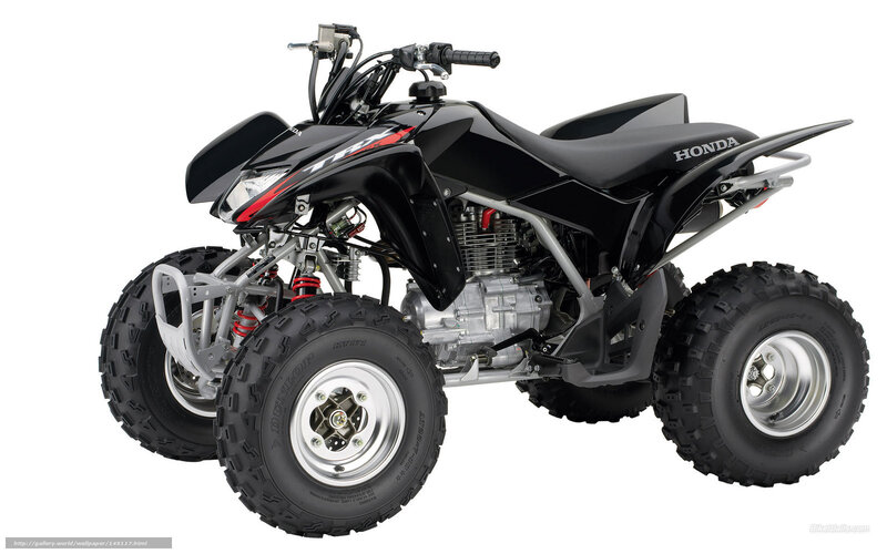 Black Honda ATV — Neutral, Photograph