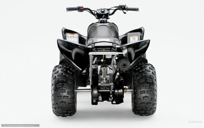 black honda atv rear view