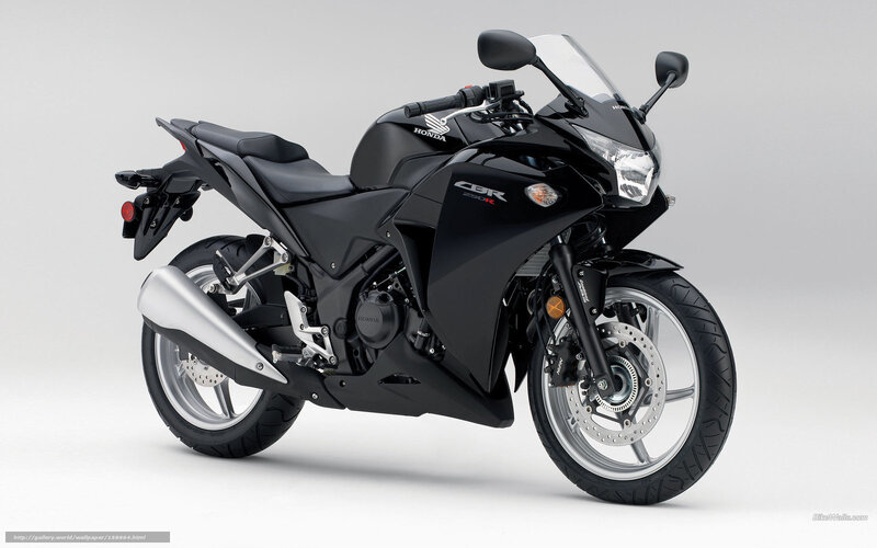 Black Honda CBR Motorcycle — Neutral, Photograph, Windshield