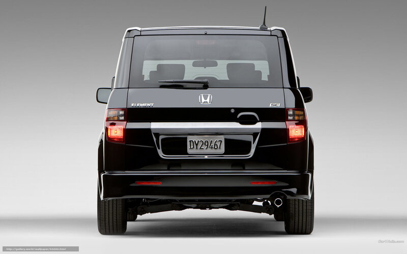 black honda element rear view