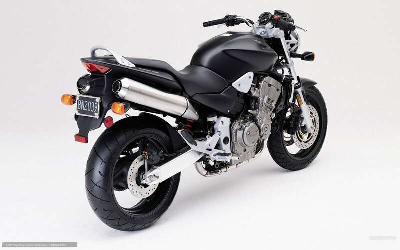 Black Honda Motorcycle — Neutral, Photograph, Exhaust Pipe, Engine