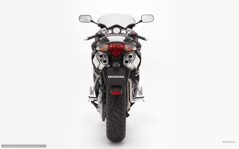 Black Honda Motorcycle — Neutral, Photograph, Rear View