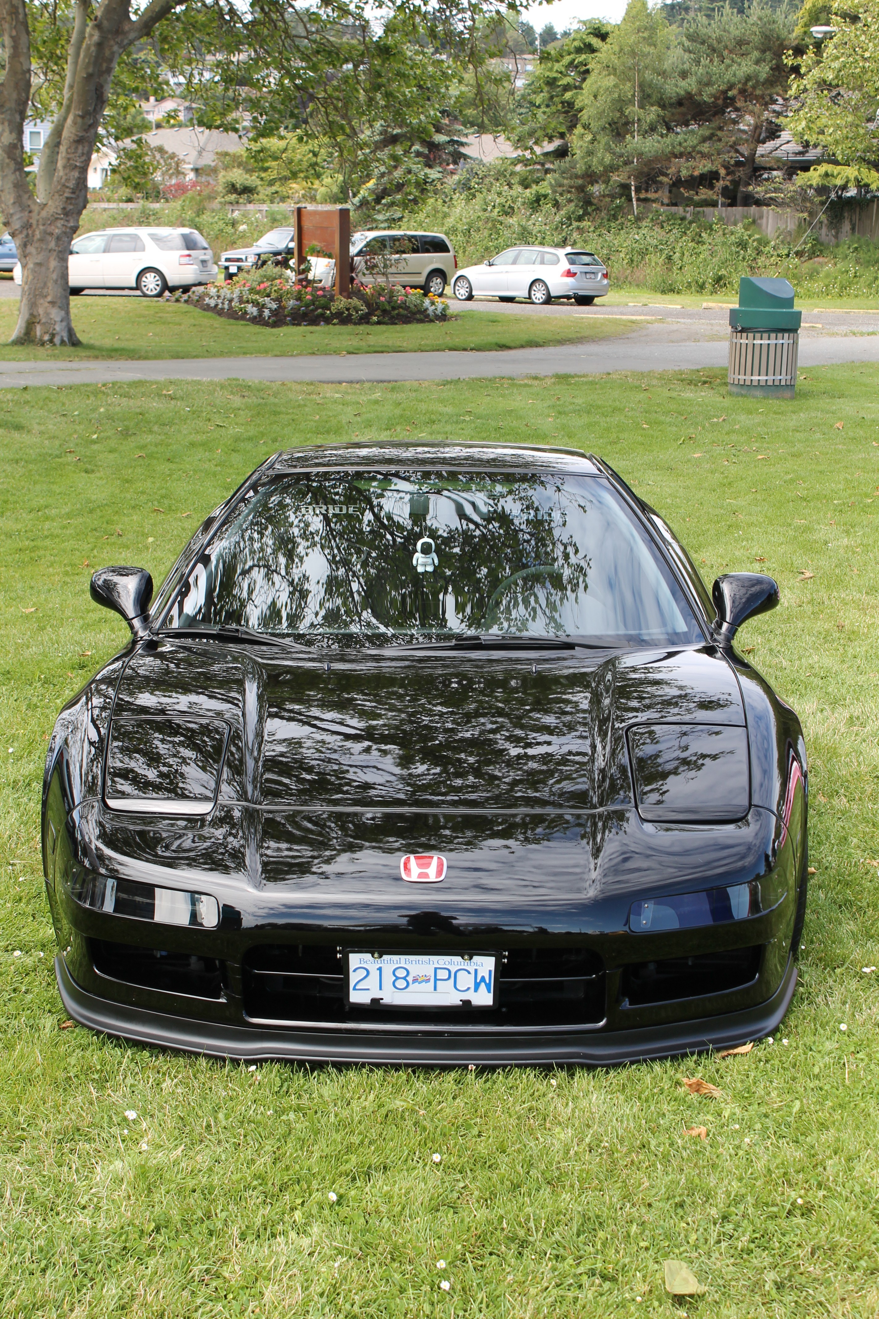 Black Honda NSX on grass