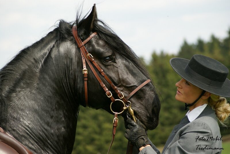 Black Horse and Rider