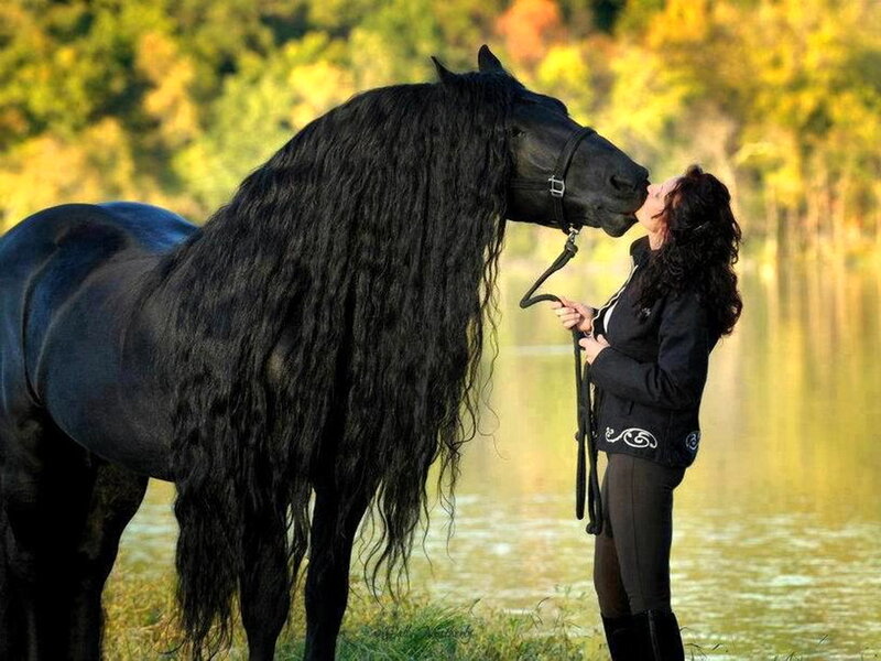Black Horse and Woman
