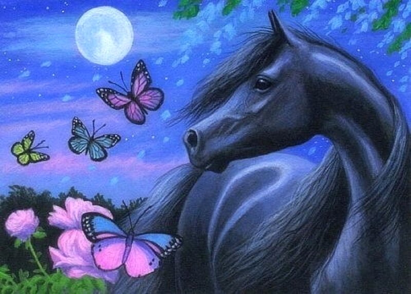 Black Horse at Night