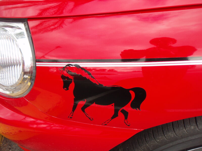 Black Horse Decal