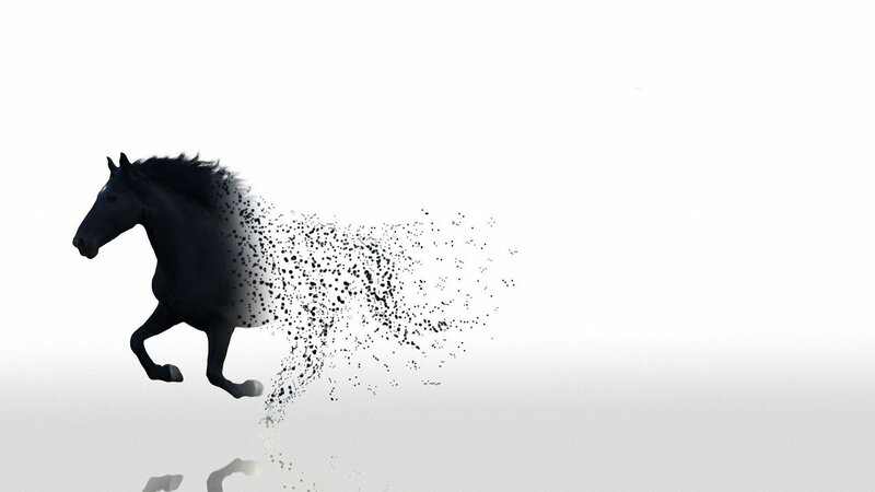 black horse dissolving into particles