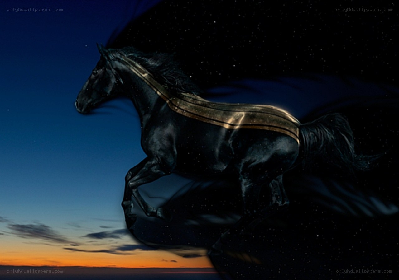 Black horse galloping at dusk