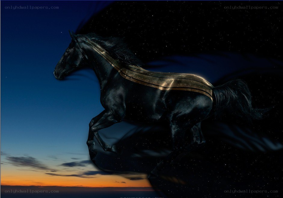 Black horse galloping at dusk