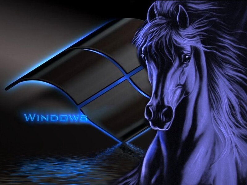 Black Horse Head — Blue, Dramatic