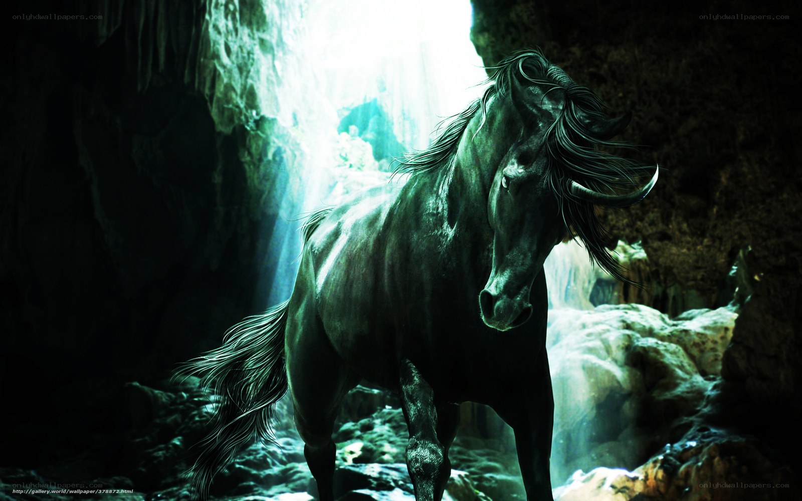 Black horse in cave