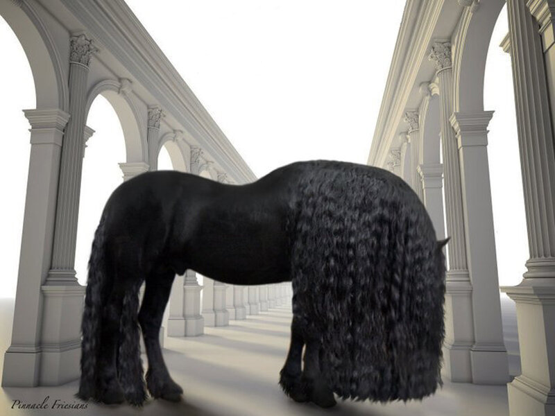 Black Horse in Corridor