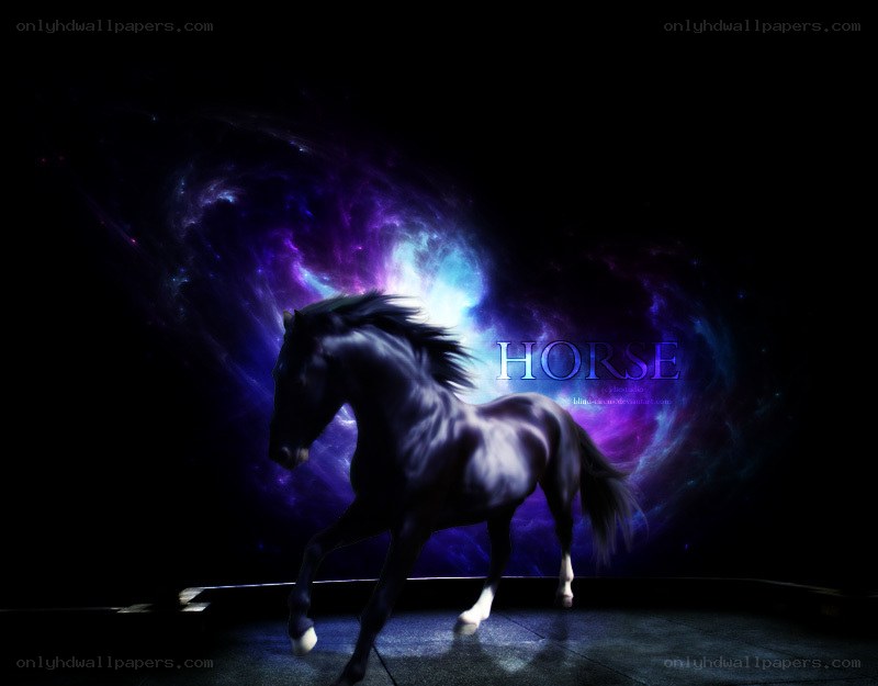 black horse in cosmic background