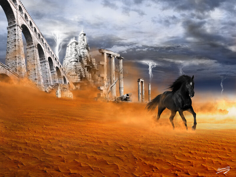 Black horse in desert ruins