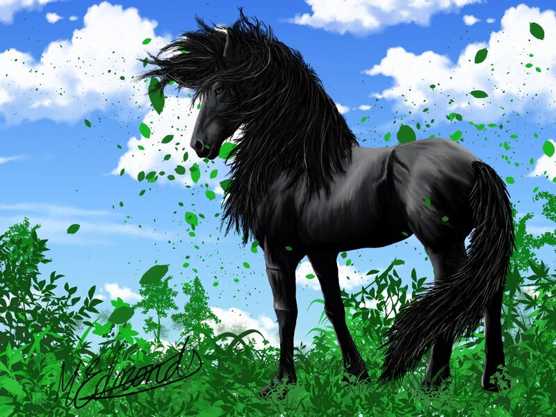 Black Horse in Field — Blue, Serene
