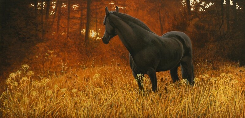 Black Horse in Field — Brown, Serene