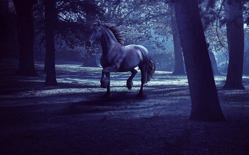 Black Horse in Forest — Blue, Mysterious