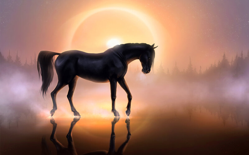 Black Horse in Mist