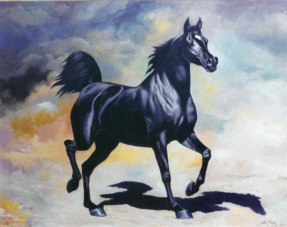 Black horse in motion