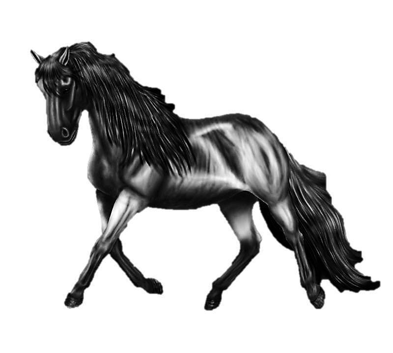 Black Horse in Motion — Dynamic