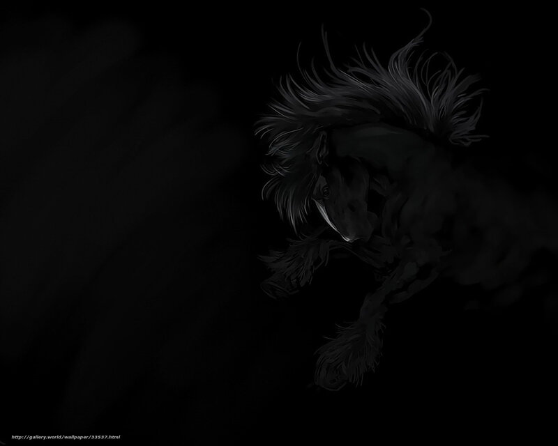 Black horse in motion