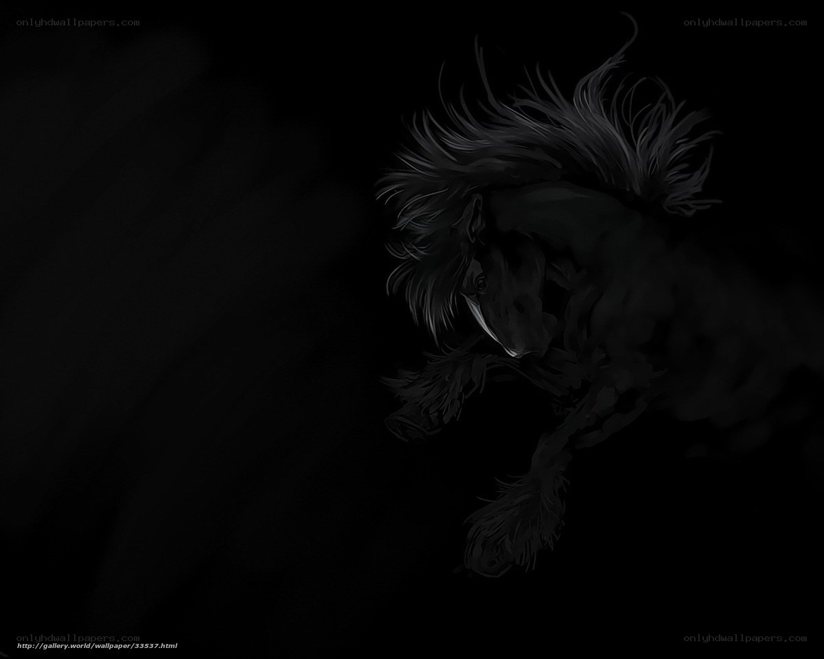 Black horse in motion