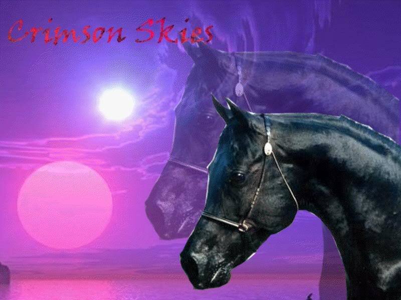Black Horse in Purple Sky