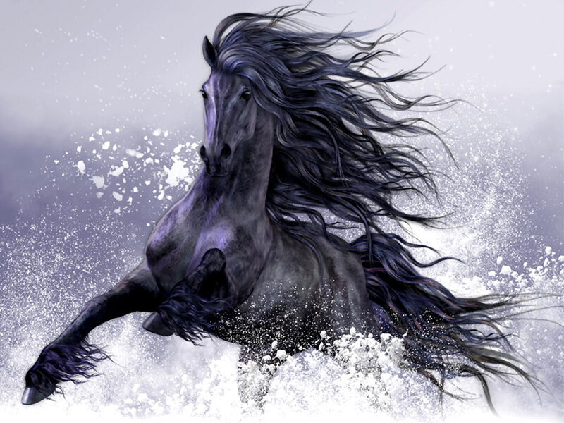 Black Horse in Snow — Dramatic
