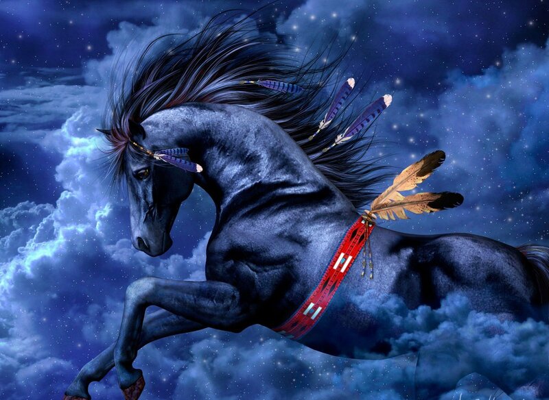 Black horse in starry sky