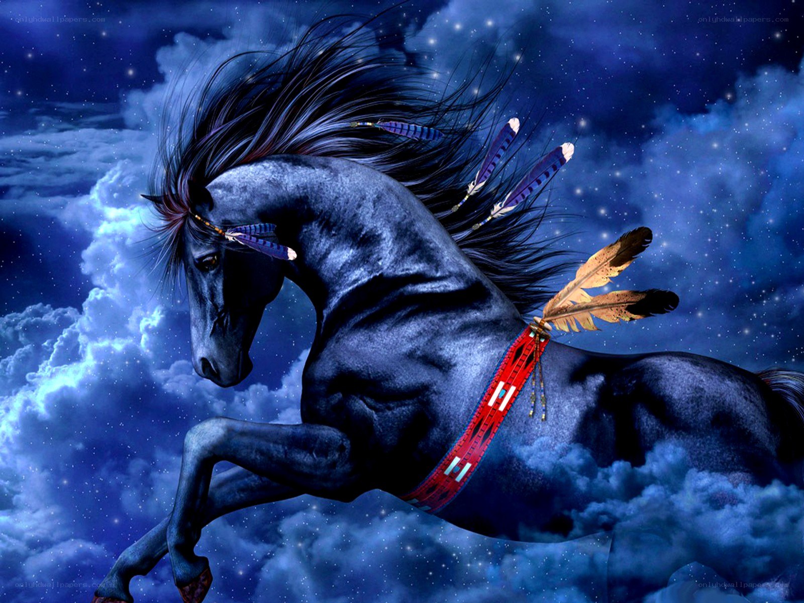 Black horse in starry sky