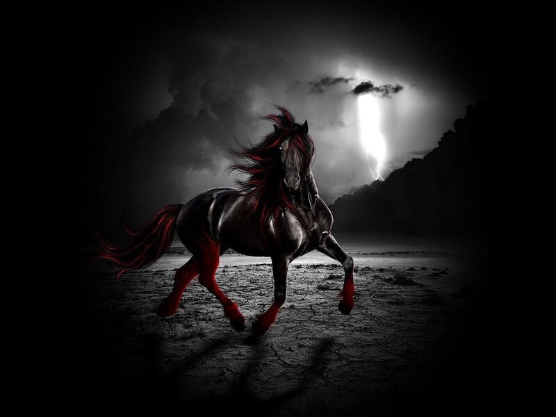 Black horse in stormy landscape